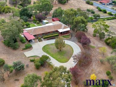 House Sold - SA - Penrice - 5353 - Lifestyle property with stunning views in Angaston - Penrice…..  (Image 2)