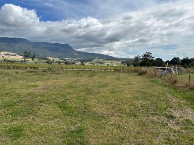 Residential Block For Sale - TAS - Meander - 7304 - MOUNTAIN VIEWS  (Image 2)