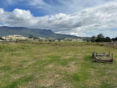 Residential Block For Sale - TAS - Meander - 7304 - MOUNTAIN VIEWS  (Image 2)