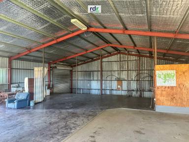 Livestock Sold - NSW - Inverell - 2360 - SPACE, PEACE & QUIET  (Image 2)