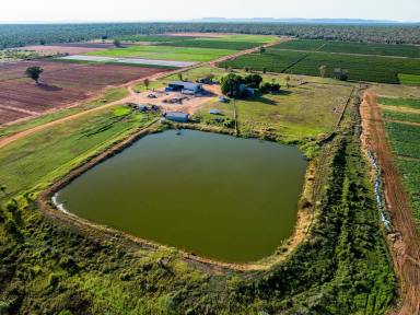 Horticulture For Sale - WA - Kununurra - 6743 - BROAD ACRE IRRIGATION     -   ORD RIVER  (Image 2)