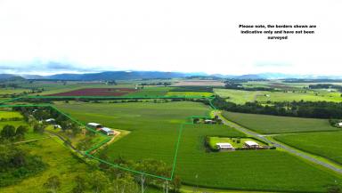 Mixed Farming For Sale - QLD - East Barron - 4883 - Mixed Farming Opportunity  (Image 2)