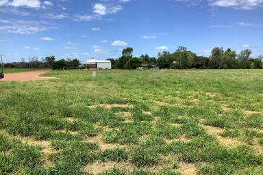 Residential Block For Sale - QLD - Longreach - 4730 - Large block at the end of Cul-de-sac, secluded in the quiet end of town  (Image 2)