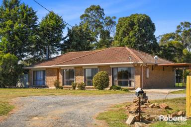 House Sold - TAS - Cressy - 7302 - Rural Setting, Plenty of Space or Potentially Develop  (Image 2)