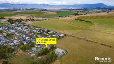 House Sold - TAS - Cressy - 7302 - Rural Setting, Plenty of Space or Potentially Develop  (Image 2)