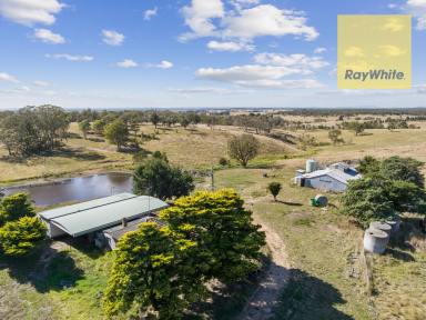 Lifestyle Sold - NSW - Goulburn - 2580 - Perfect lifestyle and grazing property  (Image 2)