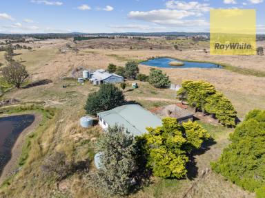 Lifestyle Sold - NSW - Goulburn - 2580 - Perfect lifestyle and grazing property  (Image 2)