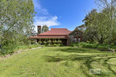 House Sold - SA - Millicent - 5280 - Tranquility & Serenity on Matheson  (Image 2)