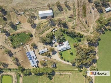 Mixed Farming For Sale - VIC - Echuca - 3564 - Now This is Living - With Options !  (Image 2)