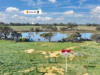 Mixed Farming For Sale - VIC - Echuca - 3564 - Now This is Living - With Options !  (Image 2)