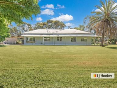 Mixed Farming For Sale - VIC - Echuca - 3564 - Now This is Living - With Options !  (Image 2)
