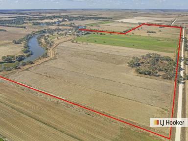 Mixed Farming For Sale - VIC - Echuca - 3564 - Now This is Living - With Options !  (Image 2)
