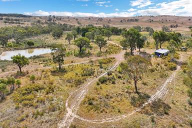 Other (Rural) For Sale - NSW - Kerrs Creek - 2800 - 300AC* PRODUCTIVE CATTLE GRAZING & LIFESTYLE GETAWAY WITH CREEK FRONTAGE!  (Image 2)