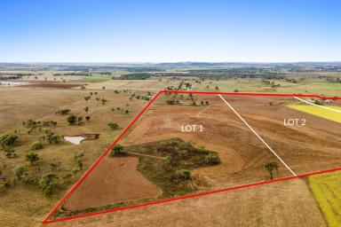 Other (Rural) Sold - QLD - Wyreema - 4352 - Harrow Lea
Unique Acreage opportunity, Purchase as a whole or individually  (Image 2)