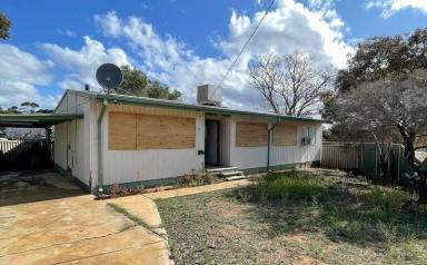 House For Sale - WA - Norseman - 6443 - Reduced!!!!  (Image 2)