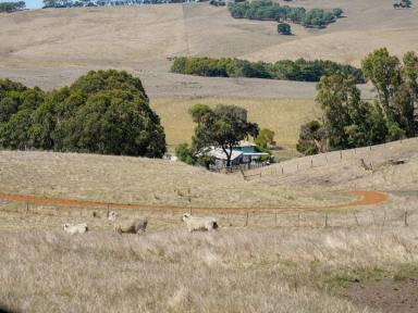 Livestock For Sale - VIC - Paschendale - 3315 - Paschendale 232.27 Ac - 94 Ha approx.  (Image 2)