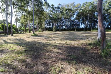 Residential Block Sold - QLD - Horton - 4660 - 1/2 ACRE LAND IN GREAT AREA READY TO BUILD NOW!  (Image 2)