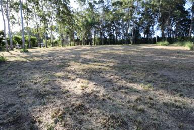 Residential Block Sold - QLD - Horton - 4660 - 1/2 ACRE LAND IN GREAT AREA READY TO BUILD NOW!  (Image 2)