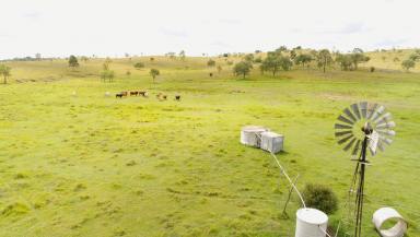 Lifestyle Sold - QLD - Dallarnil - 4621 - 88 ACRES, SHED, BORE AND BREATHTAKING VIEWS  (Image 2)