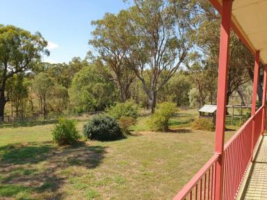House Sold - NSW - Muswellbrook - 2333 - A HIDDEN SURPRISE AWAITS YOUR DISCOVERY IN THIS QUITE NORTH MUSWELLBROOK
CUL-DE-SAC  (Image 2)
