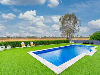 Mixed Farming For Sale - NSW - Wagga Wagga - 2650 - BUILD YOUR DREAM HOME ON THE MURRUMBIDGEE RIVER  (Image 2)