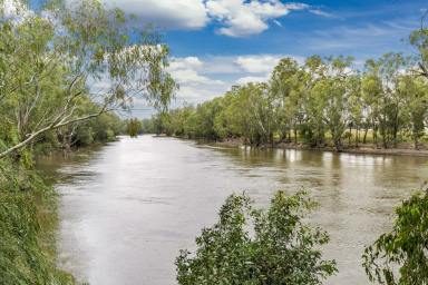 Mixed Farming For Sale - NSW - Wagga Wagga - 2650 - BUILD YOUR DREAM HOME ON THE MURRUMBIDGEE RIVER  (Image 2)