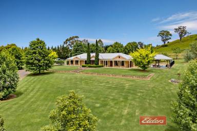 Acreage/Semi-rural Sold - NSW - Picton - 2571 - Absolute dream acreage close to town! - 3.93 Acres  (Image 2)