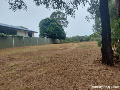 Residential Block For Sale - QLD - Russell Island - 4184 - Cleared and ready build  (Image 2)