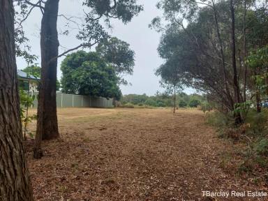 Residential Block For Sale - QLD - Russell Island - 4184 - Cleared and ready build  (Image 2)