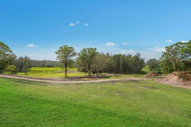Other (Rural) Sold - NSW - Belmore River - 2440 - Iconic Landmark - 50 Hectares in the Golden Triangle of the Mid North Coast  (Image 2)