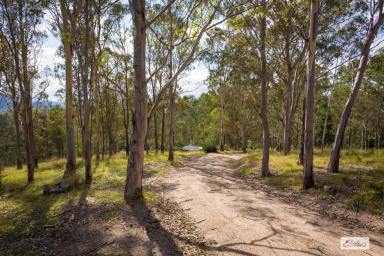 Acreage/Semi-rural Sold - NSW - Brogo - 2550 - PEACEFUL LIFESTYLE SURROUNDED BY NATURE  (Image 2)