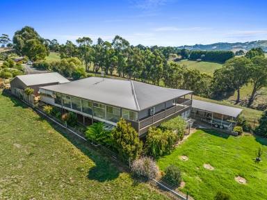 House Sold - VIC - Toora - 3962 - Stunning views, surrounded by farmland  (Image 2)