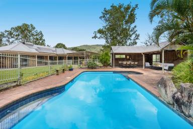 House Sold - QLD - Highvale - 4520 - Considering All Offers - Magnificent Family Homestead - 5 Acres, Studio, Bore, Views and More!  (Image 2)