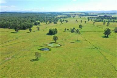 Lifestyle For Sale - NSW - Casino - 2470 - SHANNON BROOK BEAUTY  (Image 2)