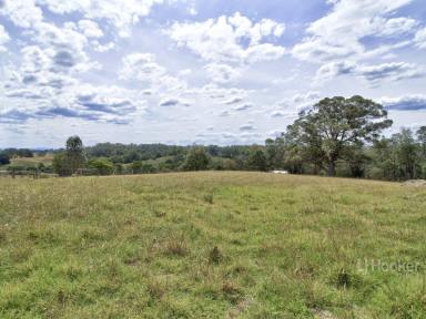 Acreage/Semi-rural Sold - VIC - Swan Reach - 3903 - COTTAGE AMONGST THE GUMTREES  (Image 2)