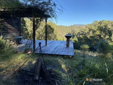 Residential Block For Sale - NSW - Brogo - 2550 - 114 ACRES OF ABSOLUTE PRIVACY!  (Image 2)