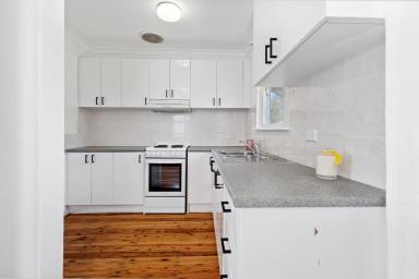 House For Lease - NSW - Raymond Terrace - 2324 - NEAT & TIDY HOME!  (Image 2)