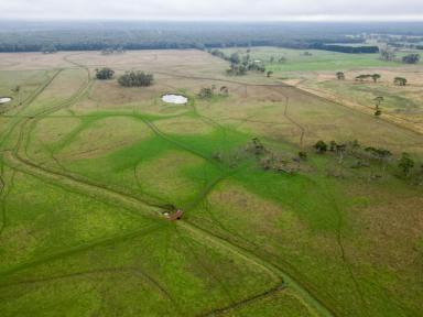 Mixed Farming For Sale - VIC - Gorae West - 3305 - Rare Opportunity  (Image 2)