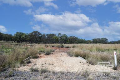 Residential Block Sold - NSW - Emmaville - 2371 - 2 Acres, Ready For Your Dream Home  (Image 2)