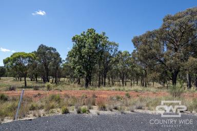 Residential Block Sold - NSW - Emmaville - 2371 - 2 Acres, Ready For Your Dream Home  (Image 2)