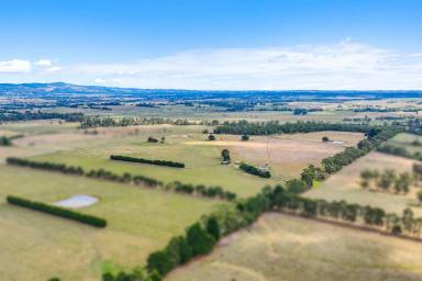 Other (Rural) For Sale - VIC - Yarragon - 3823 - 152 acres with sweeping views- creek frontage  (Image 2)