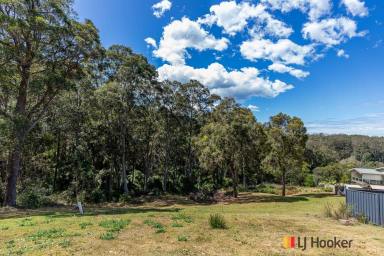 Residential Block For Sale - NSW - Long Beach - 2536 - Stunning 4,432m2 block ready to build your 'Dream Home' only 1min drive to the Beach !  (Image 2)