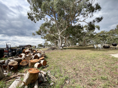 Lifestyle Sold - NSW - Windellama - 2580 - 40 ACRES, WITH DWELLING ENTITLEMENT, SHEDS, CREEK, DAMS, RU2, SOLAR, POWER, DUAL ROAD FRONT, GRAZING, VIEWS, LOADS OF POTENTIAL  (Image 2)