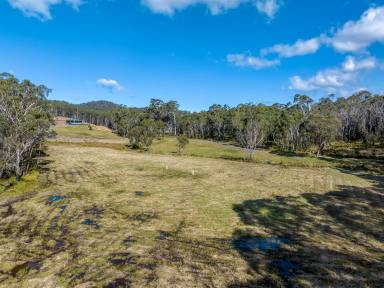 Lifestyle For Sale - NSW - Charleys Forest - 2622 - 180 ACRE HIDDEN GEM, 4 BR, ENSUITE, GARAGE/WORKSHOP, GRAZING, DAMS, IN A PEACEFUL & TRANQUIL SETTING  (Image 2)