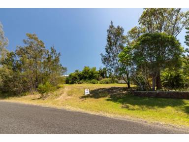 Residential Block Sold - NSW - Coomba Park - 2428 - Want a great view overlooking Wallis Lake?  (Image 2)