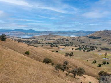 Mixed Farming Sold - VIC - Bethanga - 3691 - Outstanding parcel of strong hill grazing country. Close proximity to Albury/Wodonga and only a stone’s throw from lake Hume foreshore.  (Image 2)