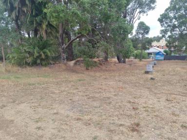 Residential Block Sold - WA - Greenbushes - 6254 - Opportunity in Greenbushes  (Image 2)
