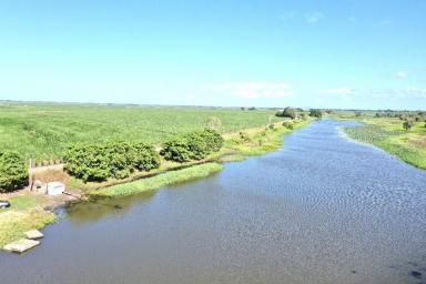 Other (Rural) For Sale - QLD - Brandon - 4808 - Burdekin Cropping Property with House - Sheds - Machinery  (Image 2)