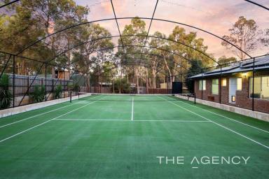 House Sold - WA - Mount Helena - 6082 - Wow! What a Sports Package! - Something For Everyone  (Image 2)