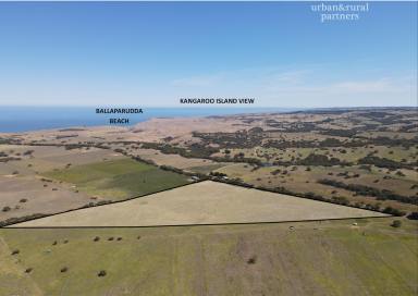 Acreage/Semi-rural Sold - SA - Waitpinga - 5211 - 30 Elevated Acres with views to Kangaroo Island  (Image 2)